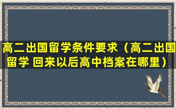 高二出国留学条件要求（高二出国留学 回来以后高中档案在哪里）